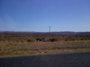 roadtrip plants johannesburg